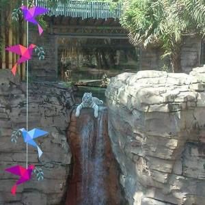 Meet your Posher, Nikki